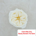 Crafteria Off White Lotus-2 Artificial flowers D10