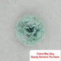 Crafteria Rama Carnition Artificial flowers D16