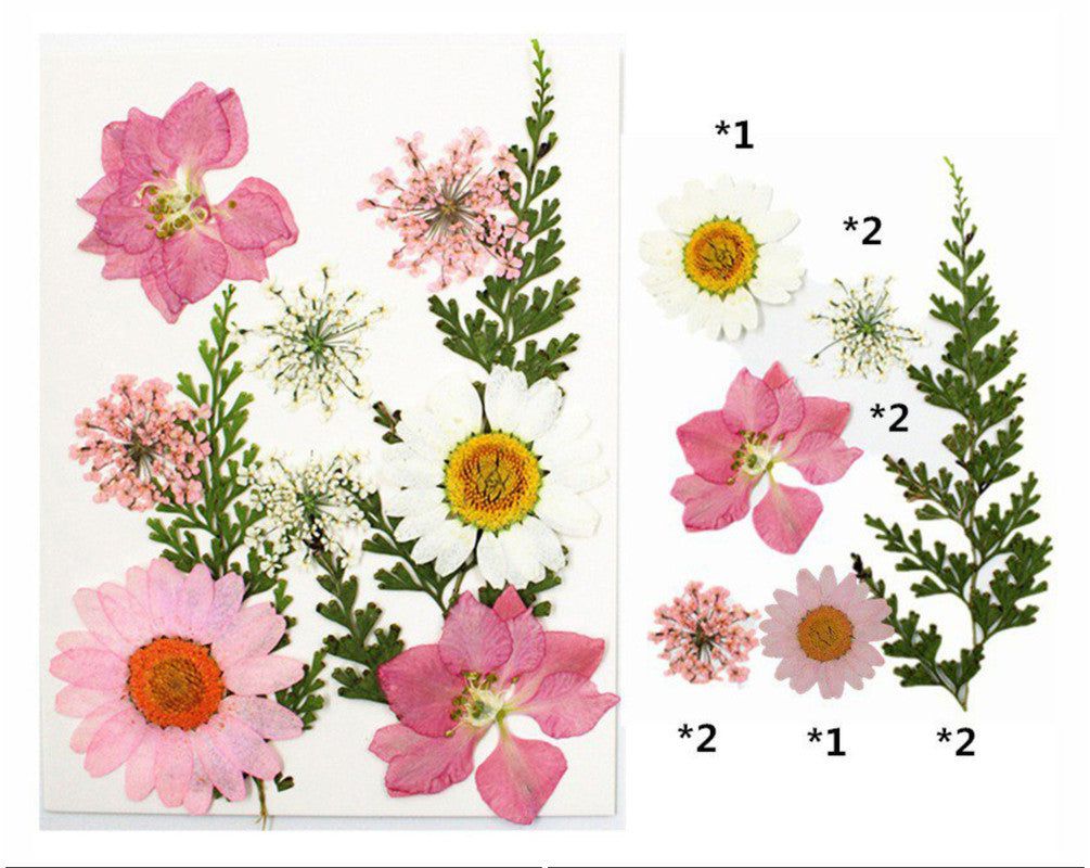 My Store DRY PRESSED FLOWER 10 IN 1 PRESSED FLOWERS FL001