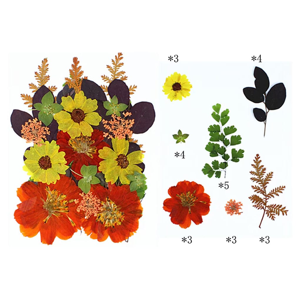 My Store DRY PRESSED FLOWER 25 In 1 Pressed Flowers FL016