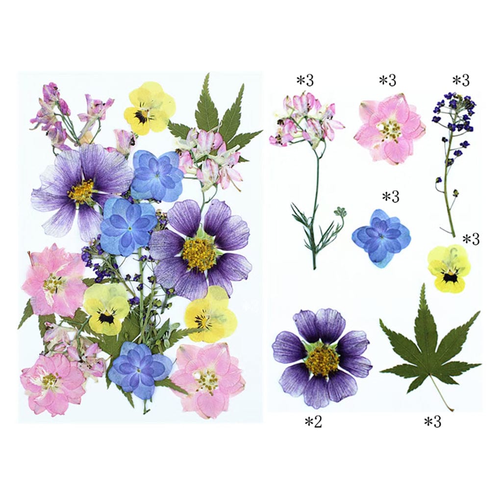 My Store DRY PRESSED FLOWER 20 In 1 Pressed Flowers FL018