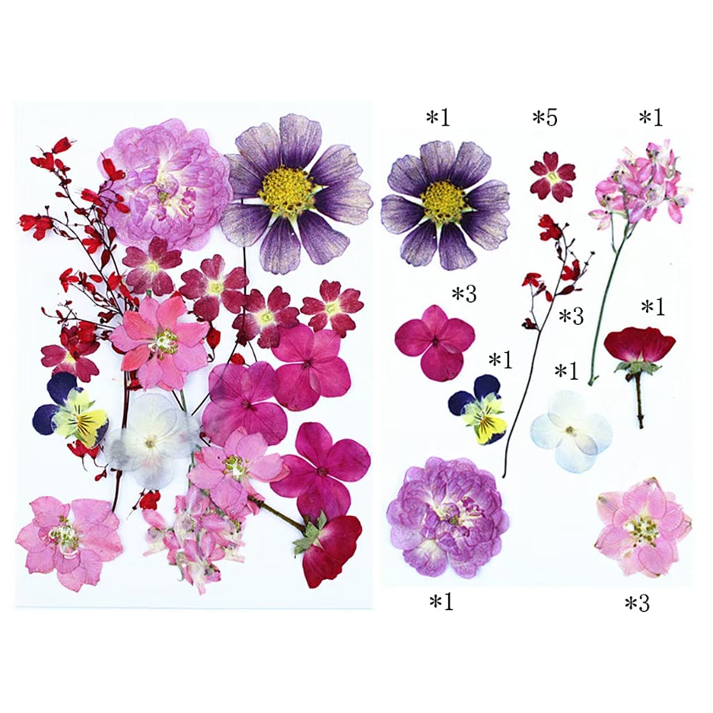 My Store DRY PRESSED FLOWER 20 In 1 Pressed Flowers FL023