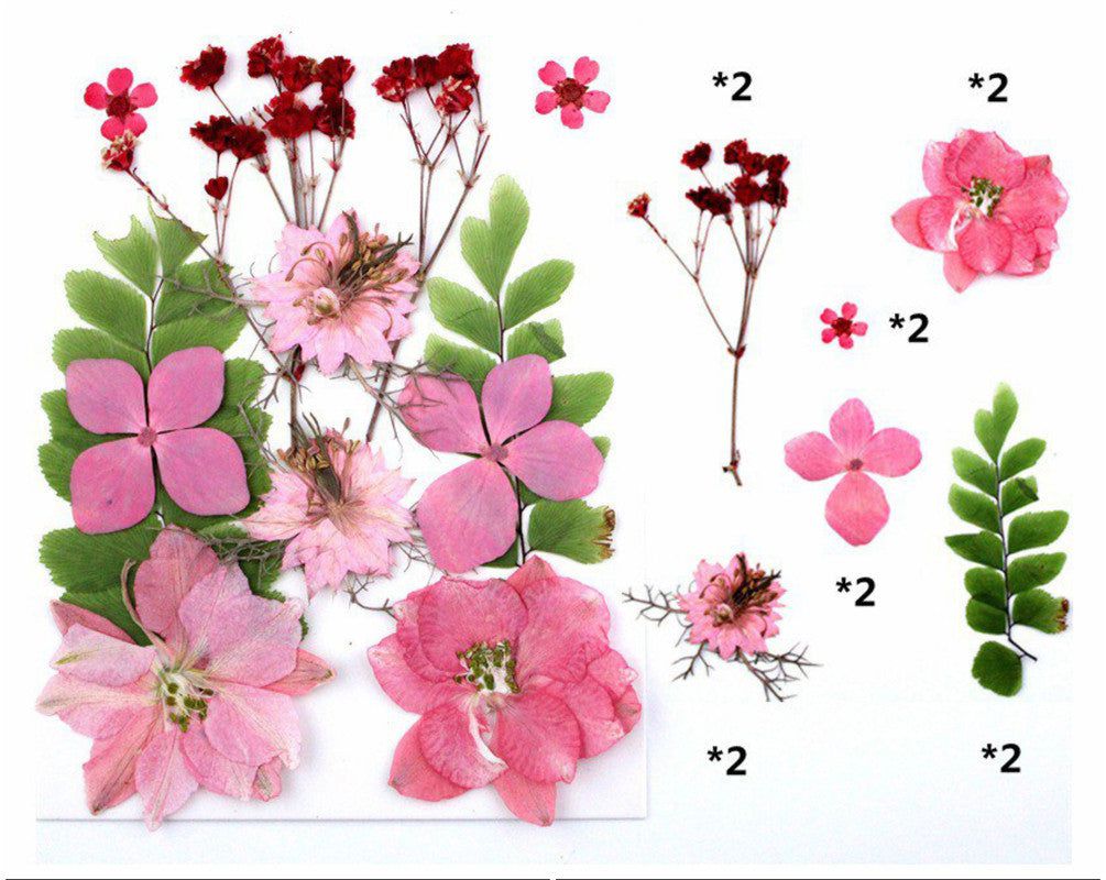 My Store DRY PRESSED FLOWER 12 IN 1 PRESSED FLOWERS FL029