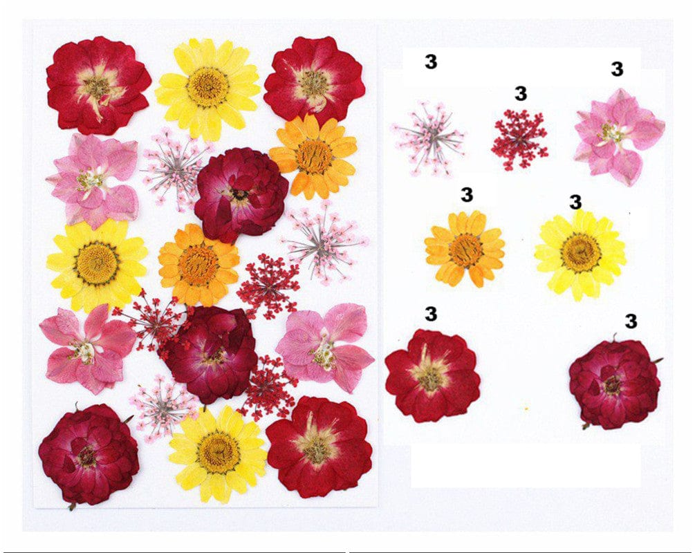 My Store DRY PRESSED FLOWER 21 IN 1 PRESSED FLOWERS FL046