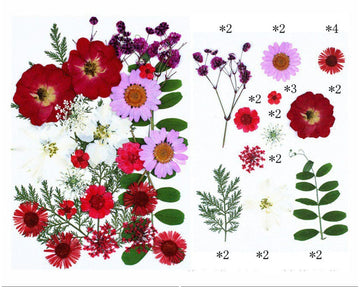 My Store DRY PRESSED FLOWER 25 IN 1 PRESSED FLOWERS FL065