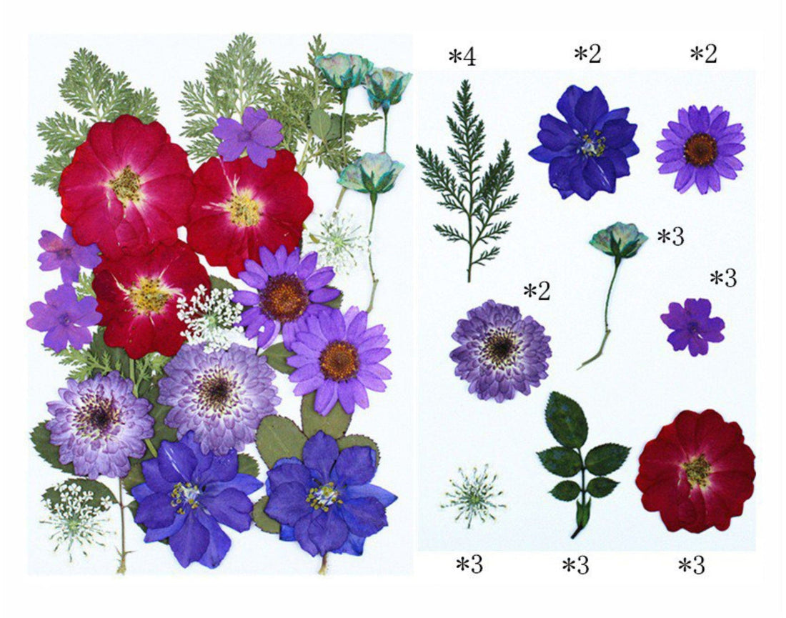 Crafteria 25 In 1  Pressed Flower