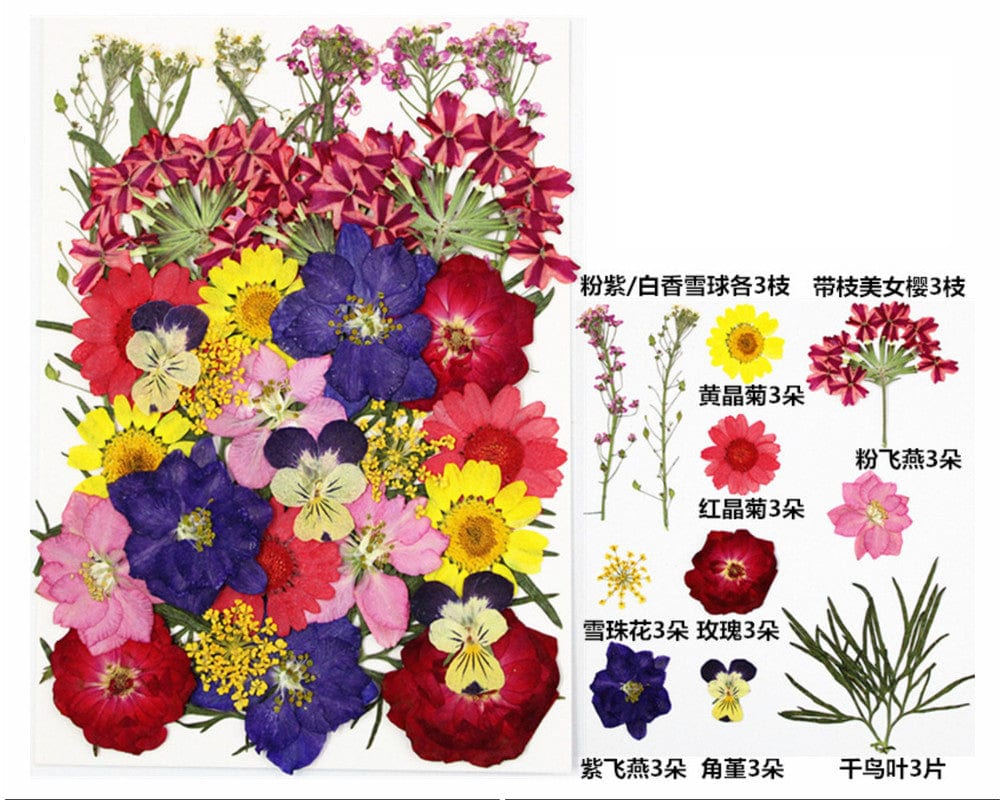 My Store DRY PRESSED FLOWER 30 IN 1 PRESSED FLOWERS FL096