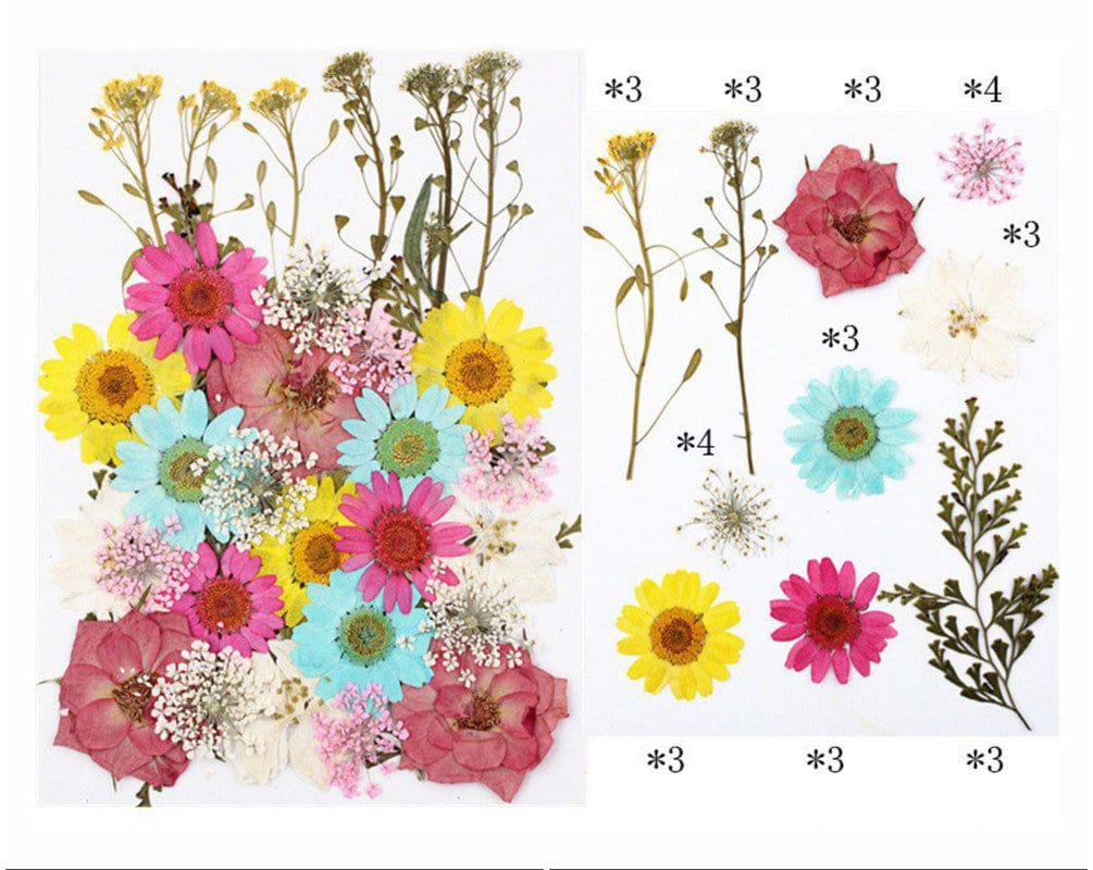 My Store DRY PRESSED FLOWER 32 IN 1 PRESSED FLOWERS FL103