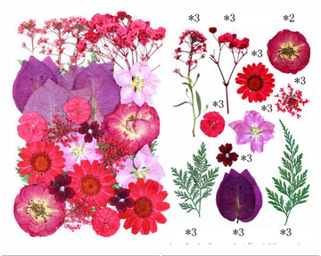 My Store DRY PRESSED FLOWER 32 IN 1 PRESSED FLOWERS FL157