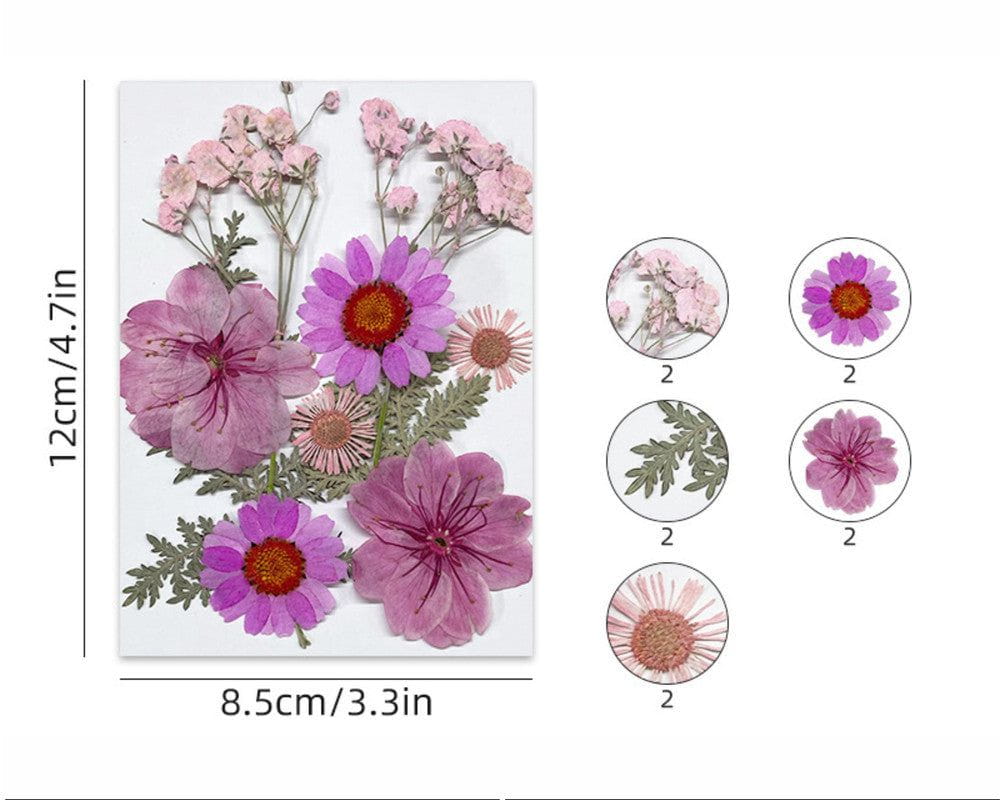 My Store DRY PRESSED FLOWER 10 IN 1 PRESSED FLOWERS FL172