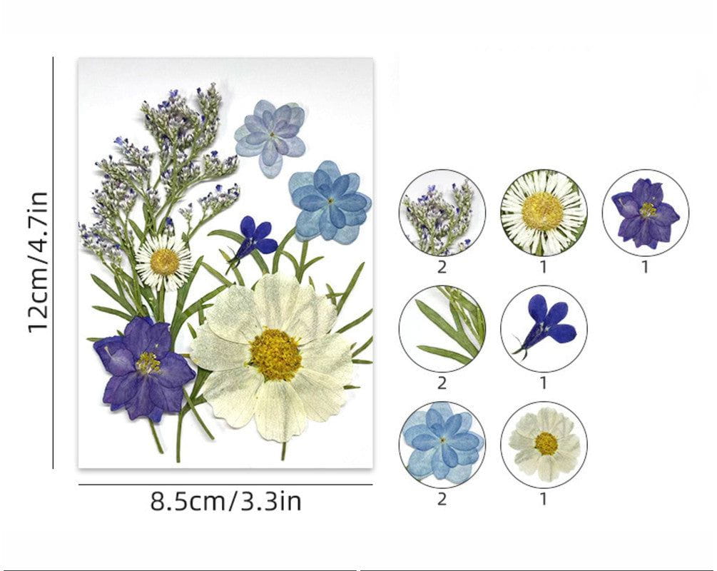 My Store DRY PRESSED FLOWER 10 IN 1 PRESSED FLOWERS FL175