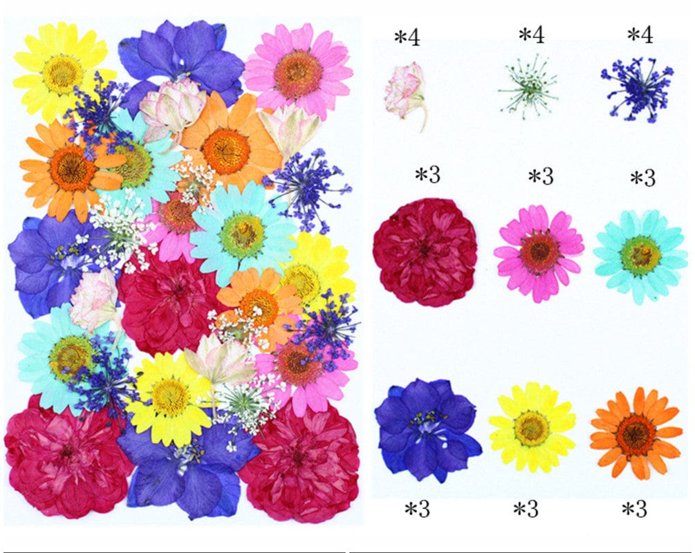 My Store DRY PRESSED FLOWER 30 IN 1 PRESSED FLOWERS FL176