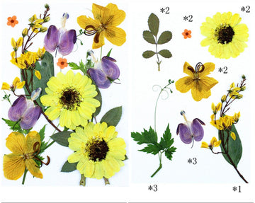 My Store DRY PRESSED FLOWER 15 IN 1 PRESSED FLOWERS FL187