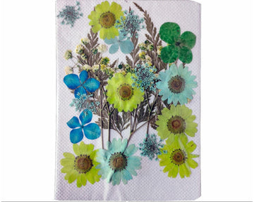 My Store DRY PRESSED FLOWER 24 IN 1 PRESSED FLOWERS FL192