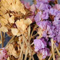 Crafteria Multy Dried Statice Flower FL5101