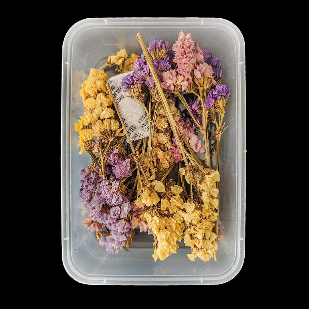Crafteria Multy Dried Statice Flower FL5101