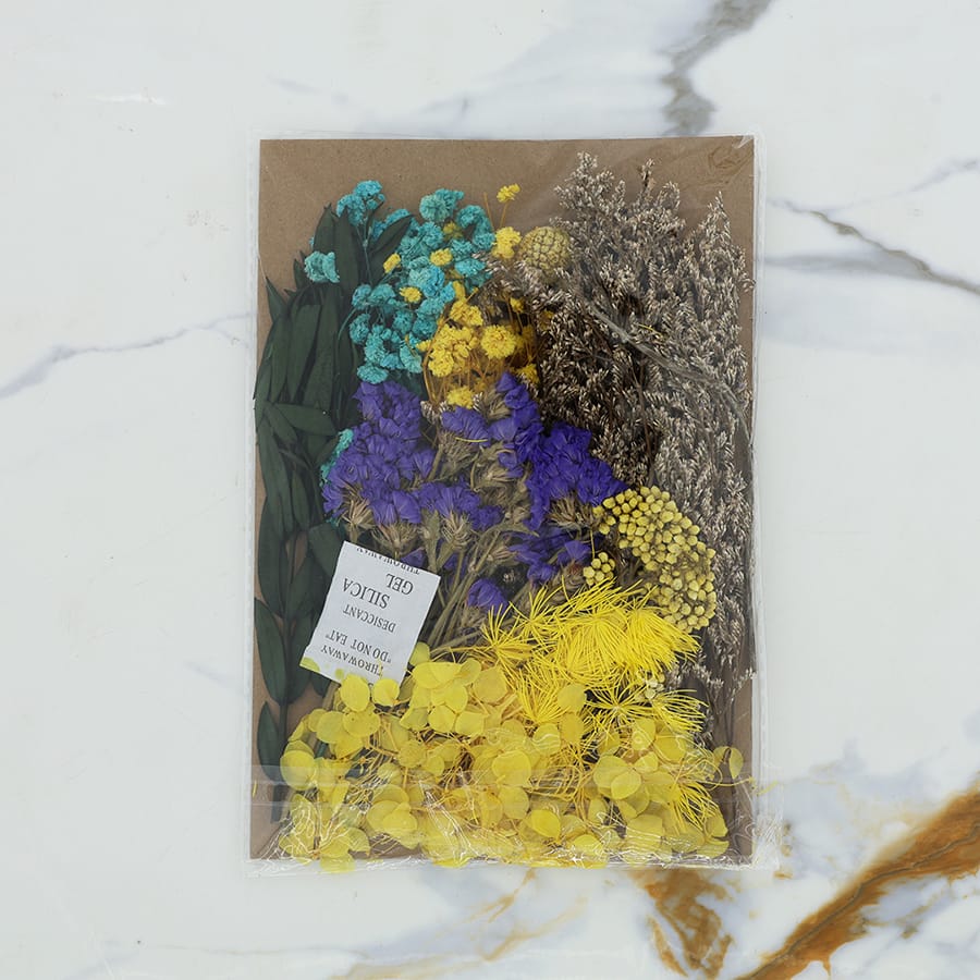 Crafteria Dried Mixed Flower D10