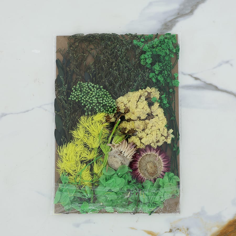 Crafteria Dried Mixed Flowers D017