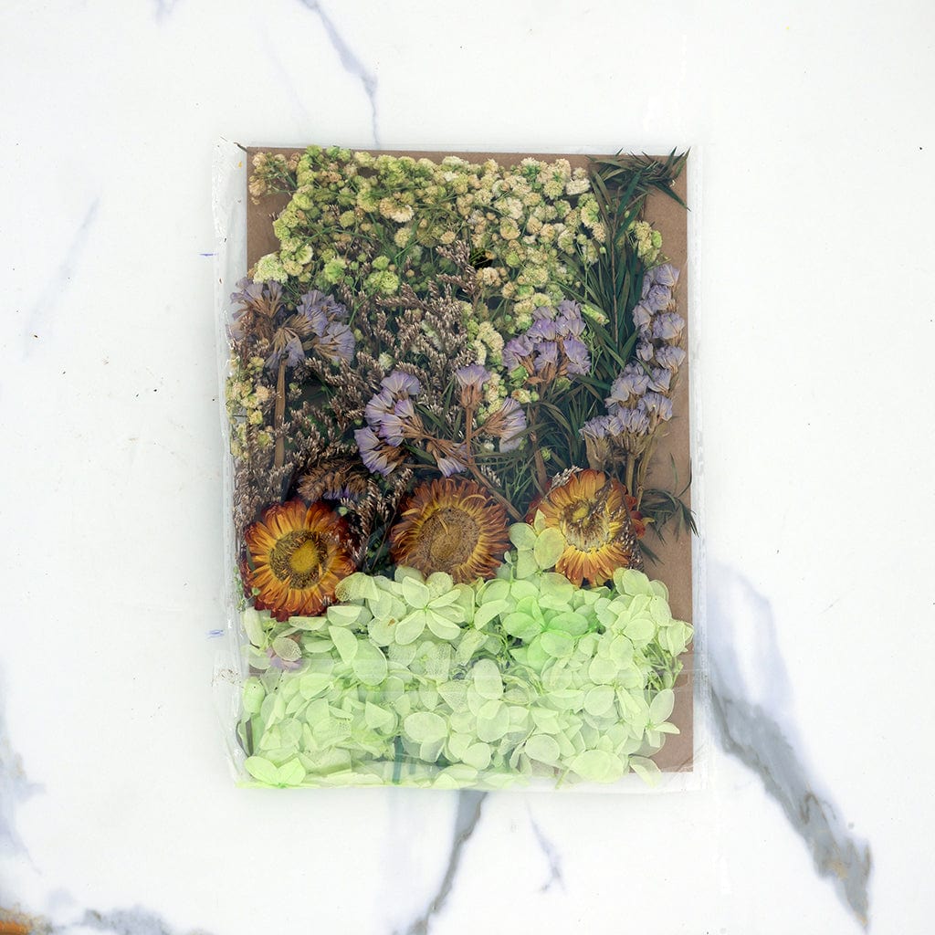 Crafteria Dried Mixed Flowers D020