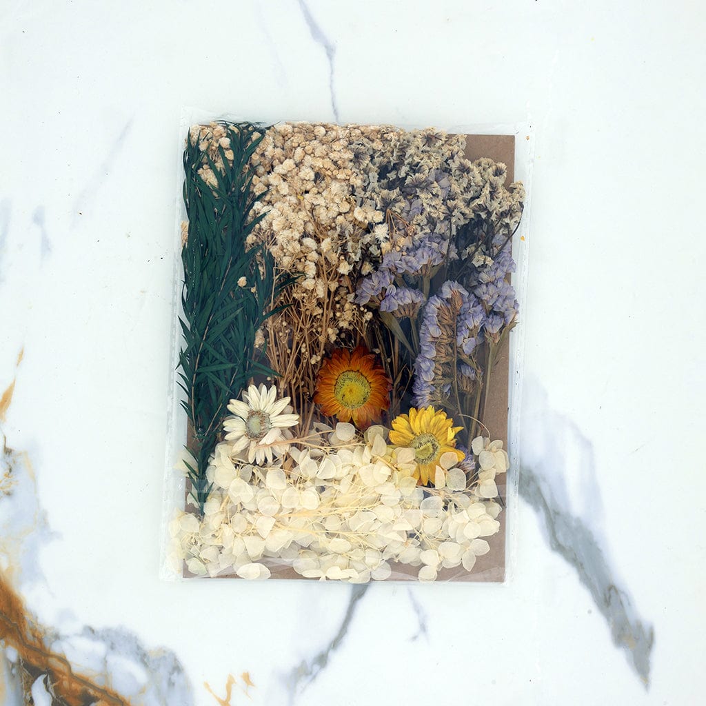 Crafteria Dried Mixed Flowers D021