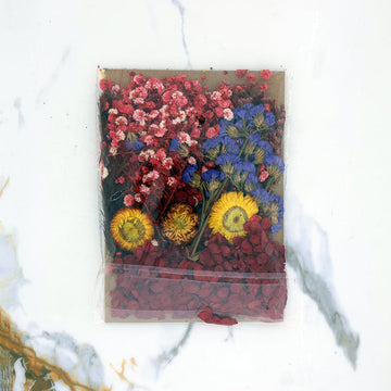 Crafteria Dried Mixed Flowers D023