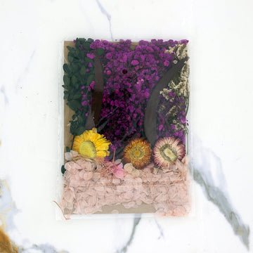 Crafteria Dried Mixed Flowers D024