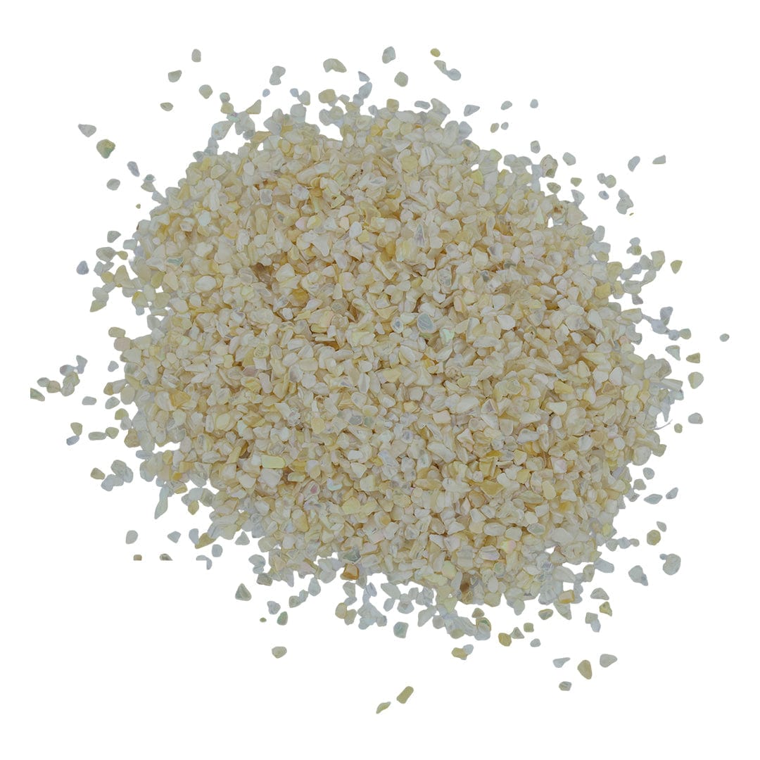 My Store Ivory Shell Chips (500gms)