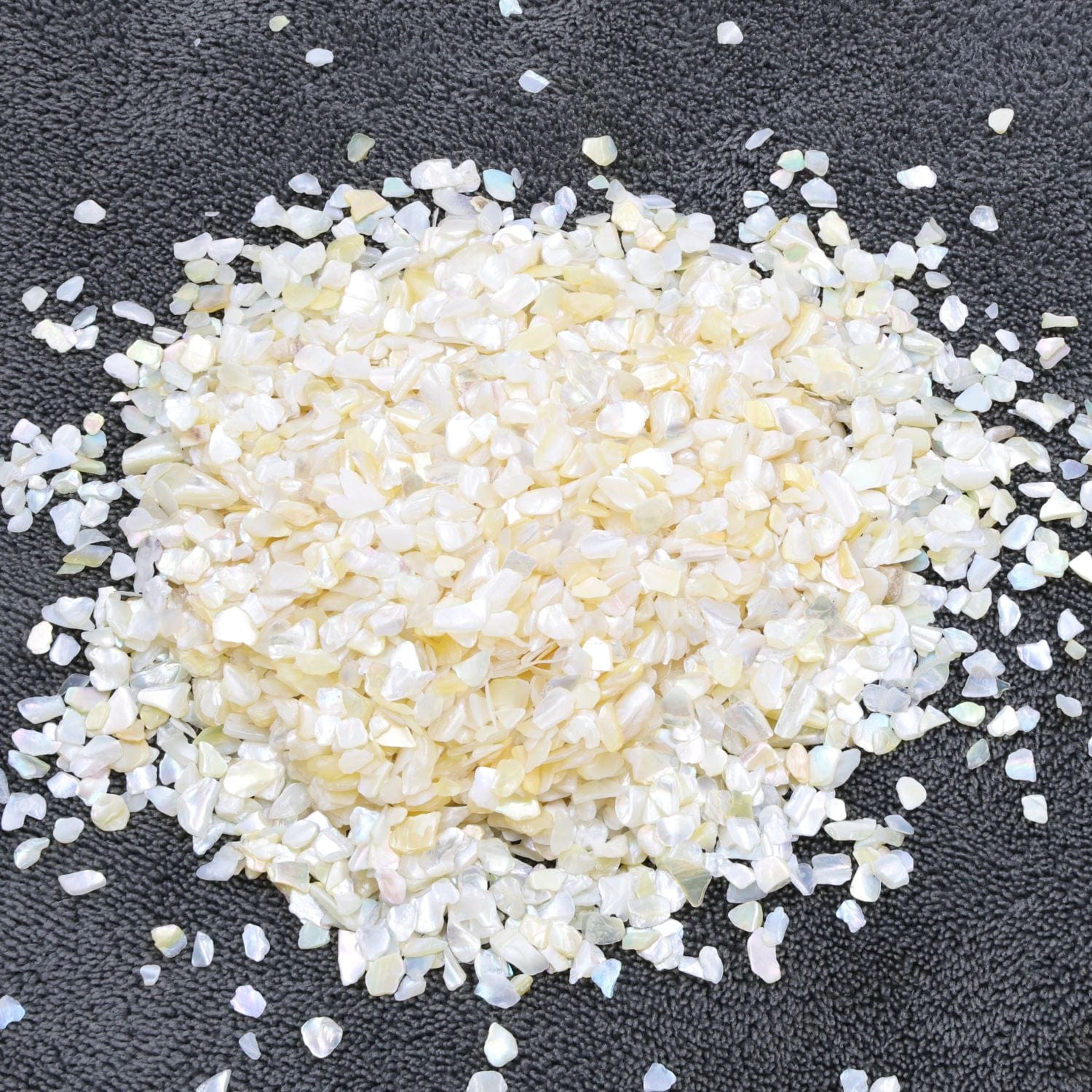 Shell Chips (500gms)