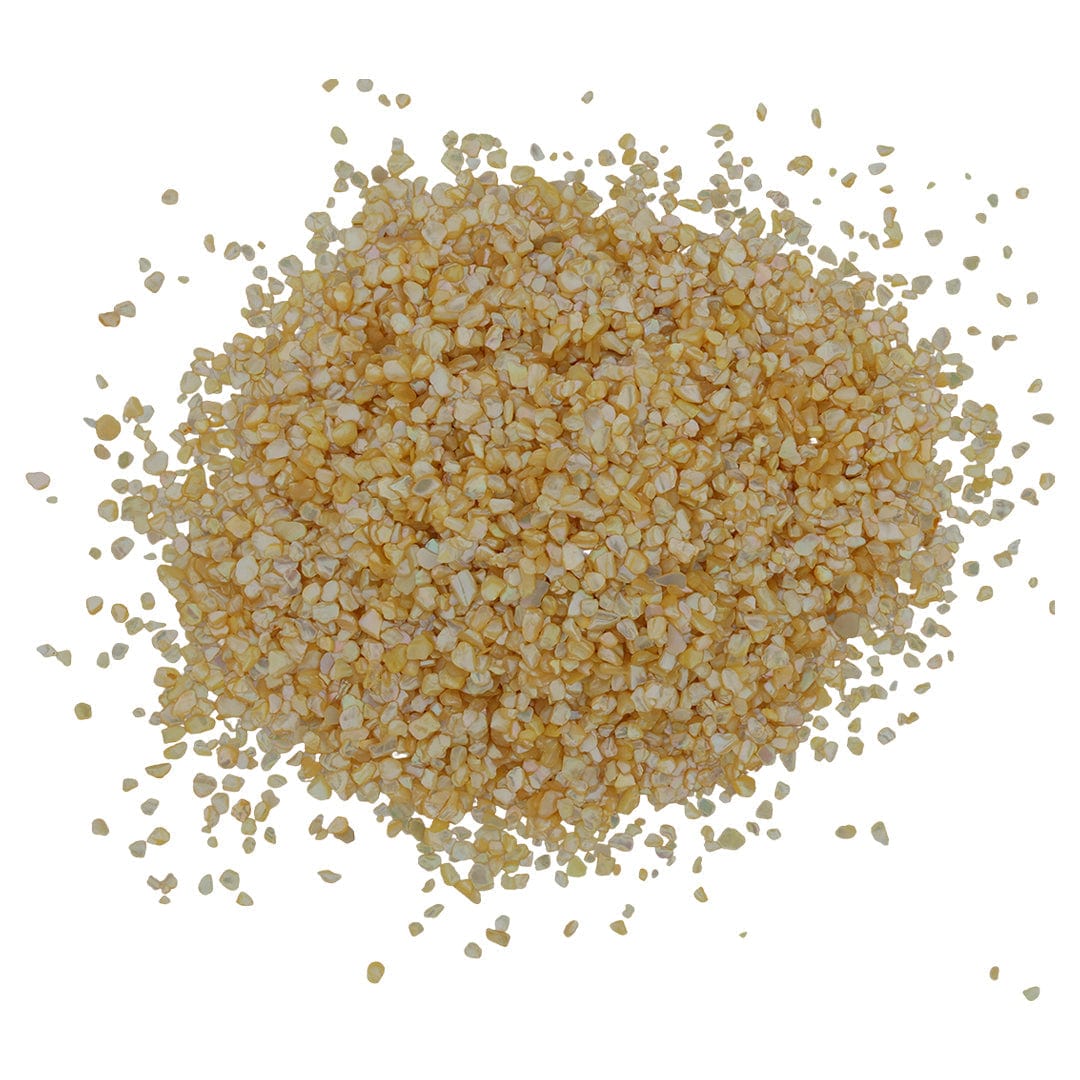 My Store Ivory Shell Chips (500gms)