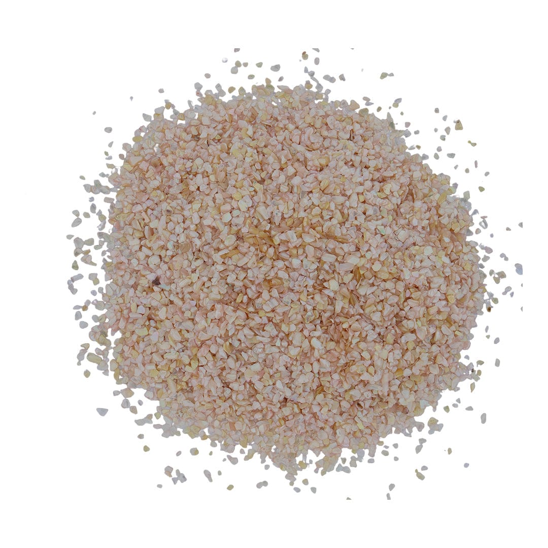 My Store Peach Shell Chips (500gms)