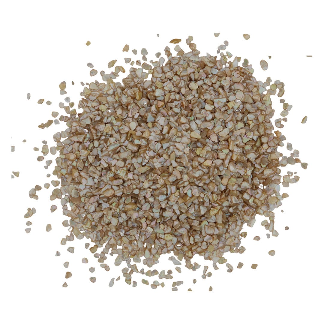 My Store Brown Shell Chips (500gms)