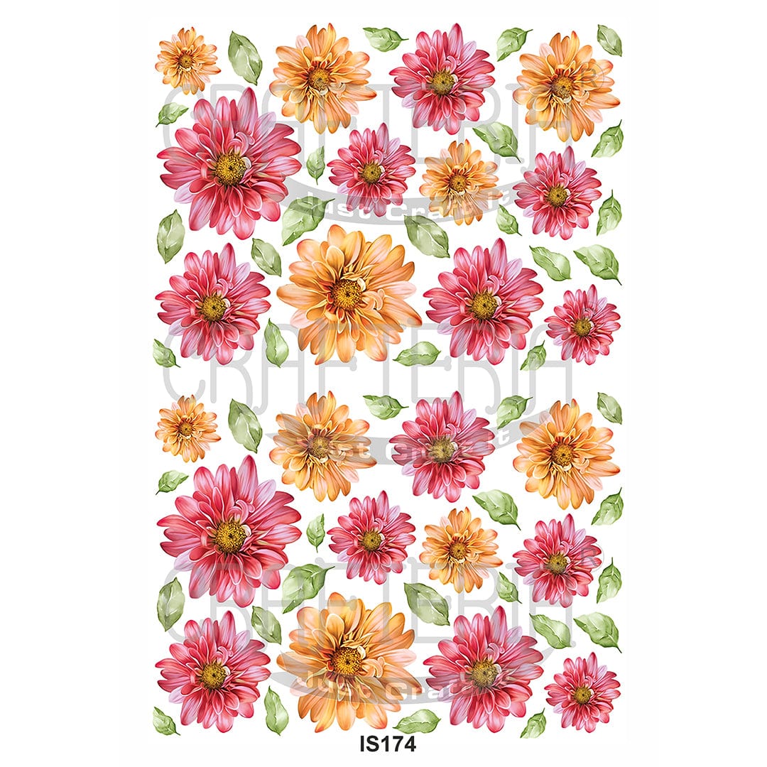 Flower Simple Insert Floral Designs Insert Sheet (Transparent Sheet) IS174