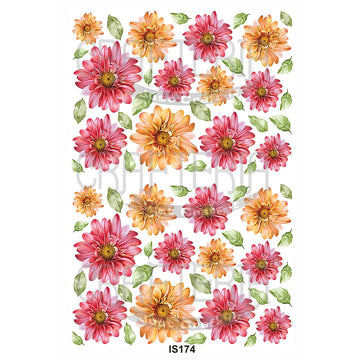 Crafteria Floral Designs Insert Sheet (Transparent Sheet) IS174