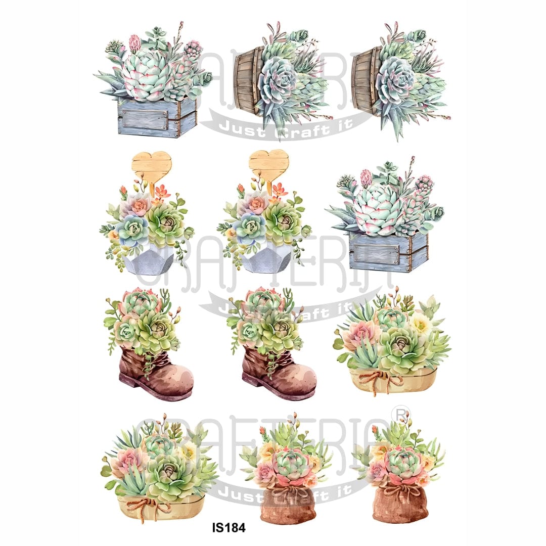 Crafteria Flower Designs Insert Sheet (Transparent Sheet) IS184
