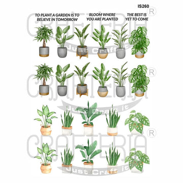 Crafteria Plants Designs Insert Sheet (Transparent Sheet) IS260