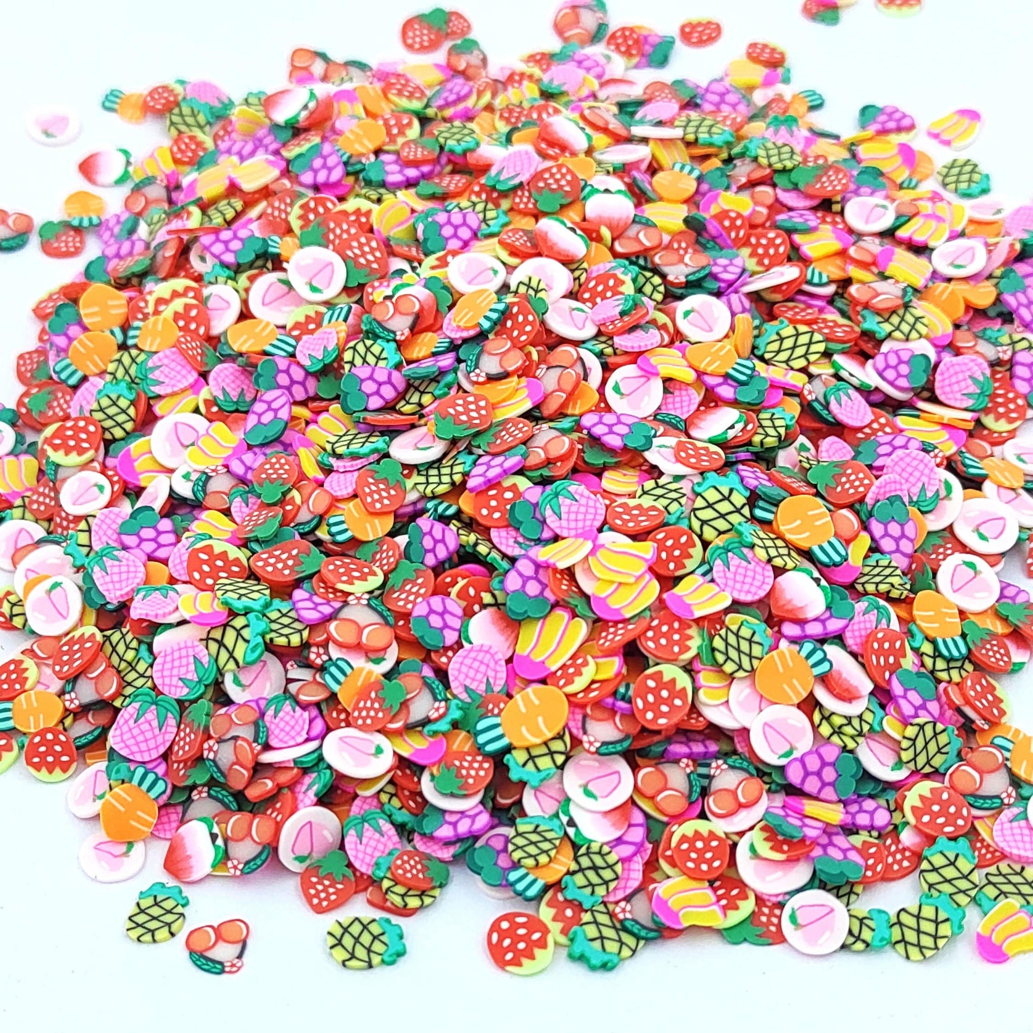 Fruit Slices Polymer Chips