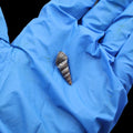 My Store NATURAL SHELL Natural Shell (50Gms) SH022