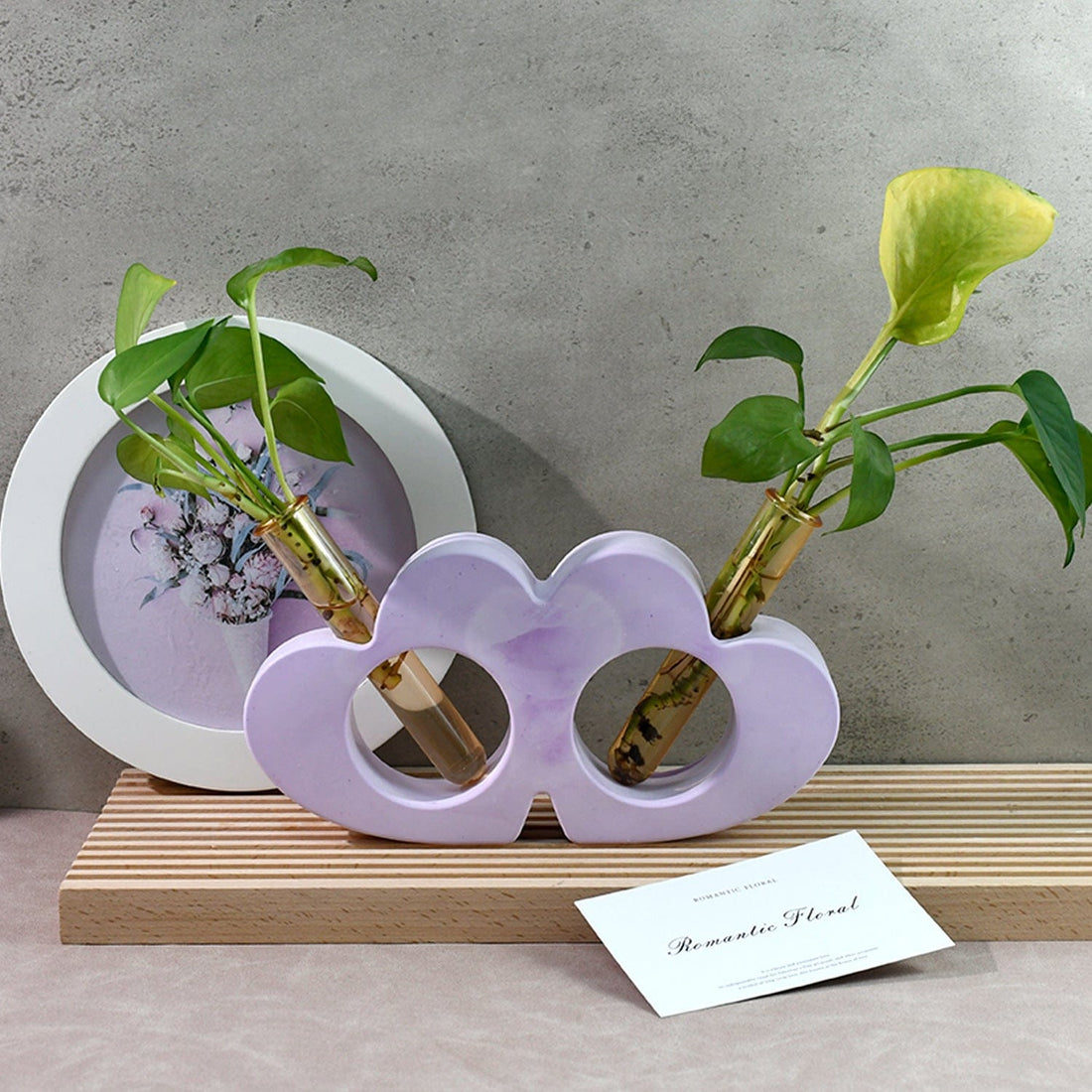 Double Heart Testtube Planter Mould