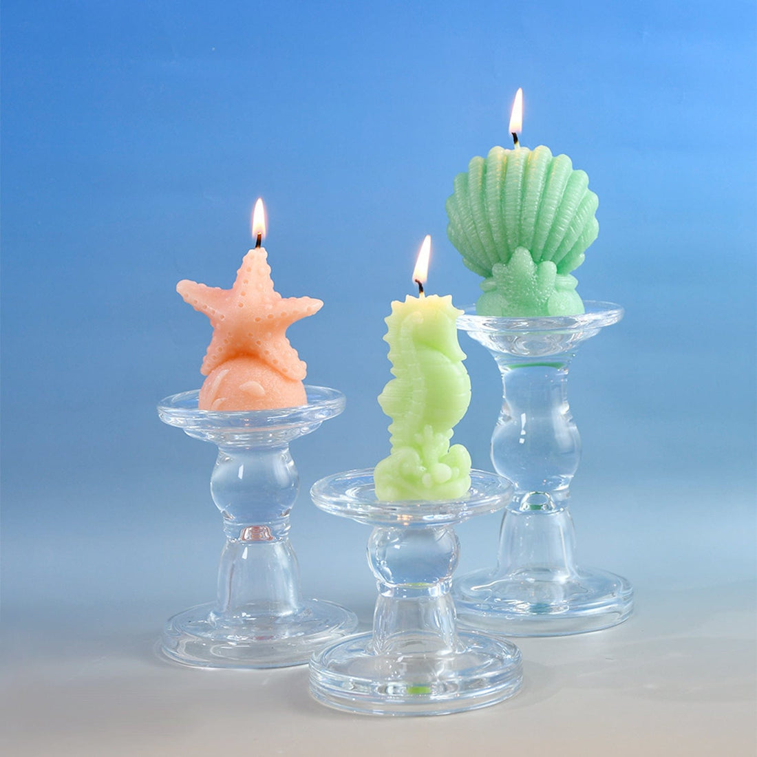 Shell Coral Candle Mould