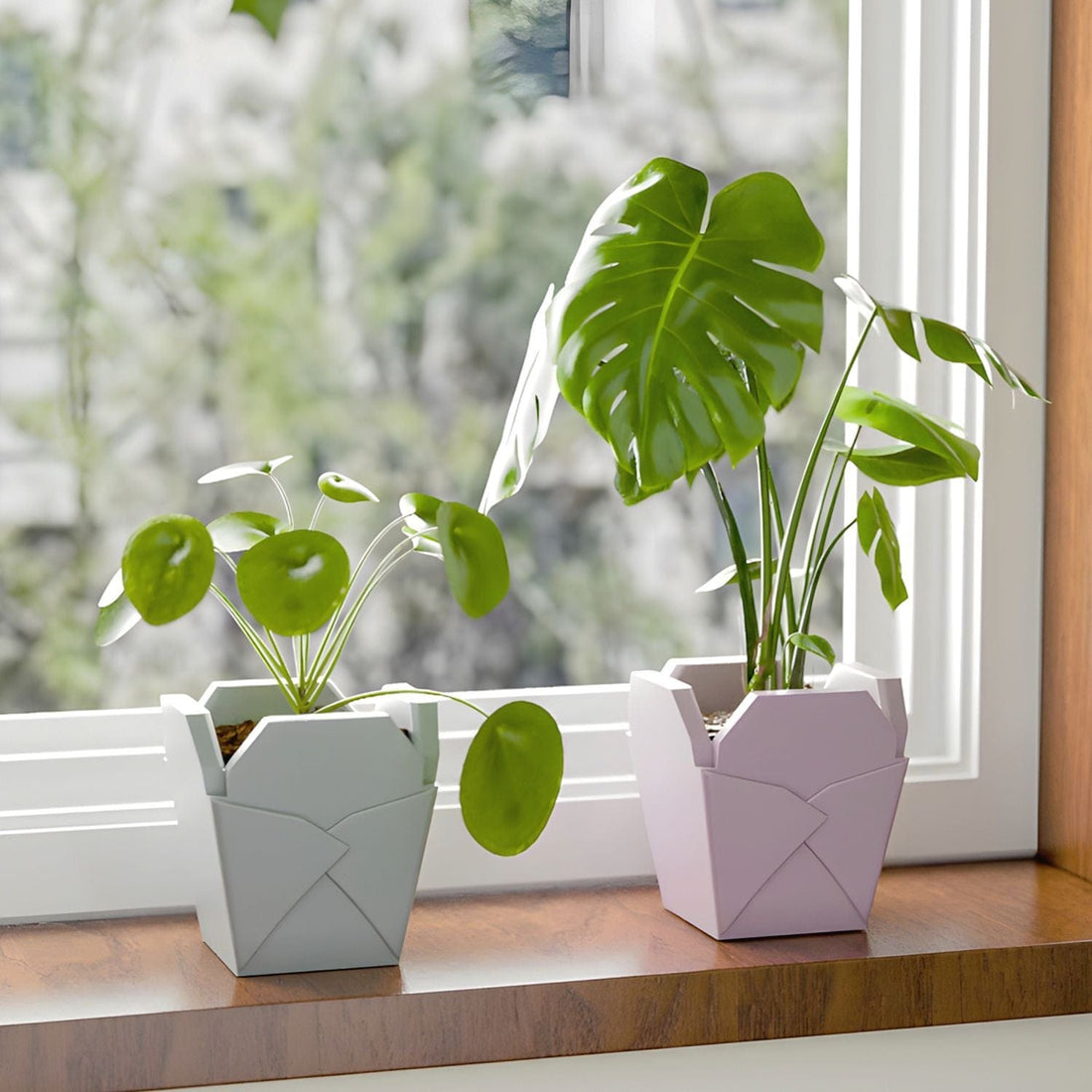 My Store Silicon Mould Silicon Mould SM1222