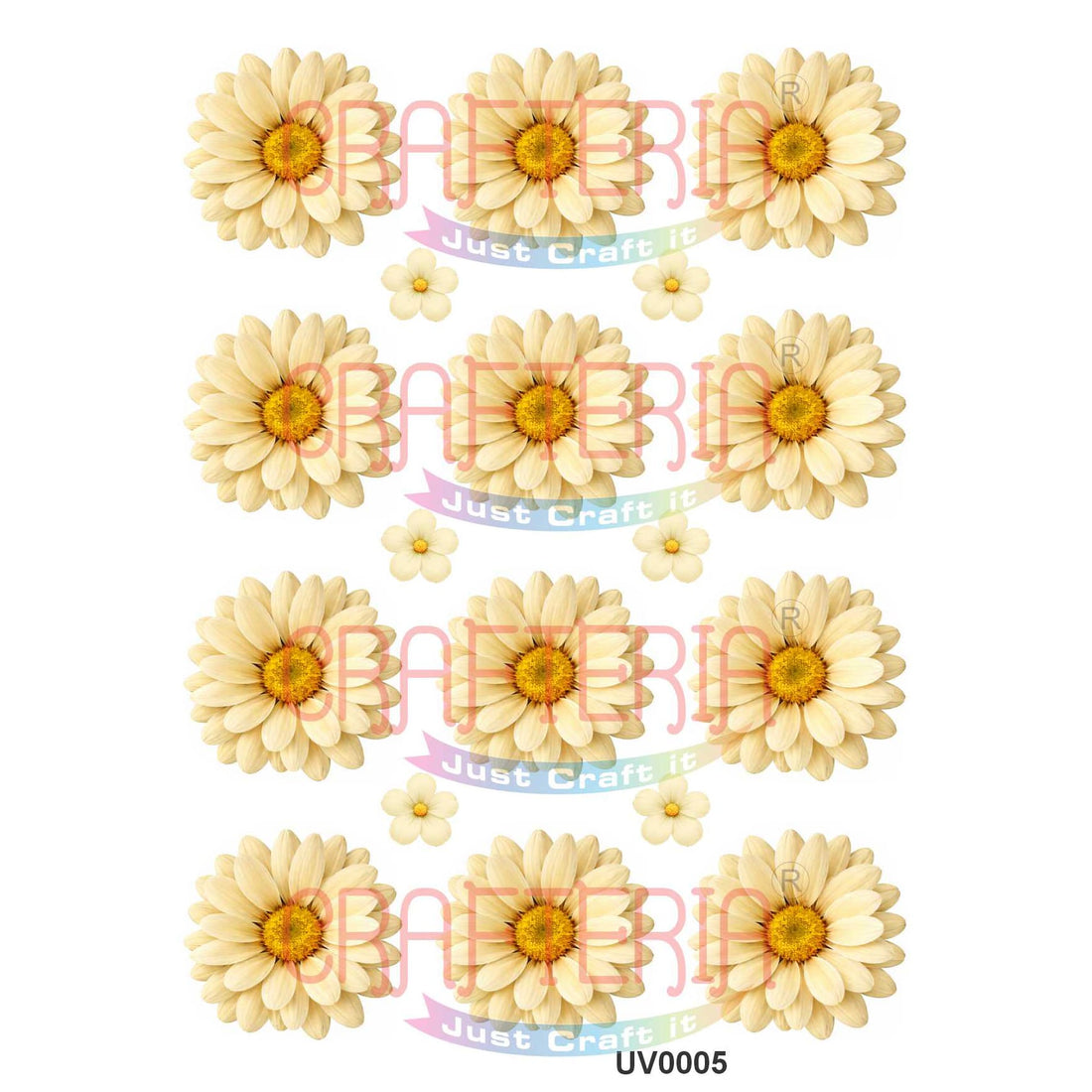 Crafteria Ivory Daisy Flowers UV DTF Sticker